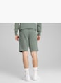 PUMA Short Vert 57262 4