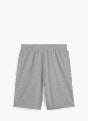 PUMA Shorts Grau 57263 2