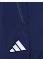 adidas Shorts Dunkelblau 59607 3