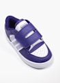 adidas Trainer Purple 88100 2