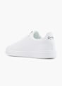 Cotton Belt Sneaker Bianco 60318 3