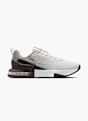 Nike Tréningová obuv Sivá 63262 1