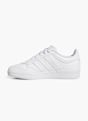 adidas 02456342 Balta 74535 3