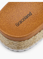 Graceland Natikači za bazen Taupe 76440 6
