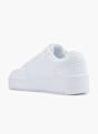 Champion Superge Bela 77335 3