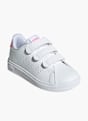 adidas Sneaker Blanco 79746 2