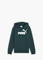 PUMA Sweat à capuche Vert 79821 1