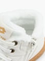 Lotto Baskets montantes Blanc 80617 5