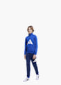 adidas Trainingsanzug Blau 81054 4