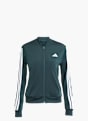 adidas Trainingsanzug Dunkelgrün 81374 2