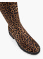 Catwalk Bota alta Marrón 98577 2