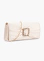 Catwalk Clutch torbica Boja pudera 111657 2