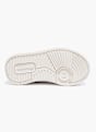 Champion Trainer Lilac 114329 4