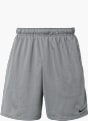Nike Short Gris 120102 1