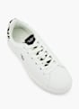 U.S. Polo Sapatilha Branco 120227 2