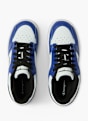 Champion Superge Bela 120336 3