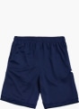 Nike Short Bleu 120481 2