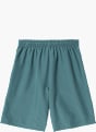 Nike Short Vert 120483 2