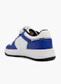 Champion Trainer Blue 122122 3