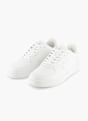 Champion Trainer White 122125 2