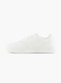 Champion Trainer White 122125 3