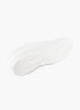 Champion Trainer White 122125 4