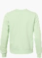 ESPRIT Sweatshirt Grün 124046 2