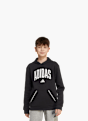 adidas Hoodie Grau 125102 2
