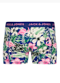 JACK & JONES Şort Mavi 128593 3