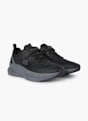 Champion Trainer black 145048 2
