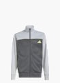 adidas Trainingsanzug Grau 148833 3