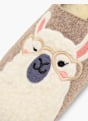 Björndal Papuče Zemljana boja 149516 5