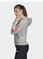 adidas Sudadera con capucha Gris 21617 4