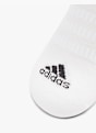 adidas Șosete pentru pantofi sport Negru 19185 3