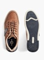 Memphis One Sapatilha Castanho 546 3