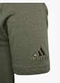 adidas T-Shirt Khaki 172707 3