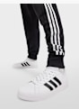 adidas Sportbačiai Balta 7013 8
