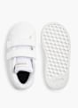 adidas Sneaker Bianco 7014 3