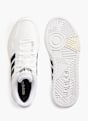 adidas Sapatilha Branco 5212 3