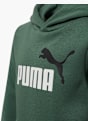 PUMA Sudadera con capucha Verde oscuro 5226 3