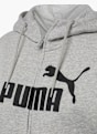 PUMA Sudadera con capucha Gris 2480 3