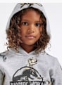 Jurassic World Sudadera con capucha Gris 5252 5