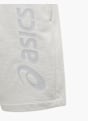 ASICS Shorts Grau 55982 3
