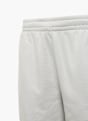 ASICS Shorts Grau 55982 4