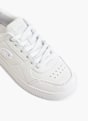 Champion Sneaker Weiß 24957 2