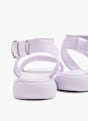Catwalk Basutės Violetinė 2799 4