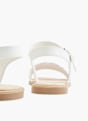 TOM TAILOR Basutės Balta 6511 4