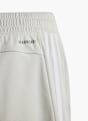 adidas Shorts Grau 14228 4