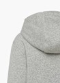 Nike Hoodie Grau 24440 4