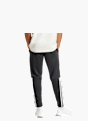 adidas Jogginghose Schwarz 24835 2